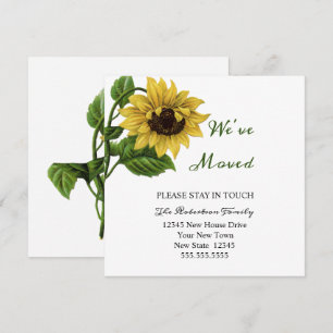 Antike Sonnenblume Wir Ziehen Um   Neue Adresse Karte