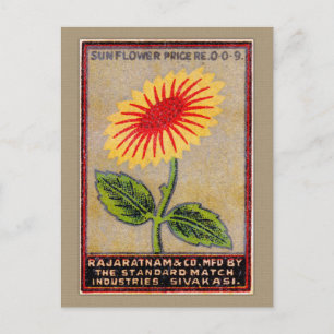 Antike Sonnenblumen-Match-Etikett Postkarte