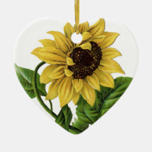 Antike Sonnenblumenzeichnung Keramik Ornament