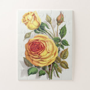 Antike Sonnenuntergangsrose Gelb & Orange Botanisc Puzzle