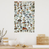 Antike Speisepilz-Tabelle Poster (Küche)