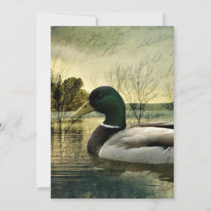 Antike Stockente verwitterte Postkarte