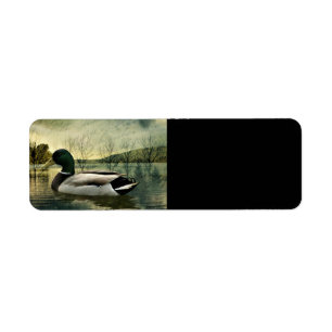Antike Stockente verwitterte Postkarte