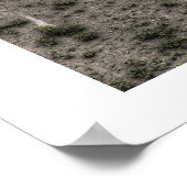 Antike Stonehenge & Zwei Krähen Poster (Ecke)