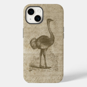 Antike Straußen-Schrift-Grunge-Papier Case-Mate iPhone 14 Hülle