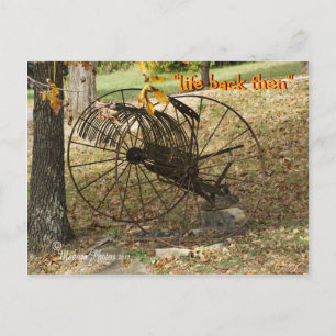antike Sulky-Heurechen-Postkarte - anpassen Postkarte