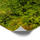 Antike Tempel und Pagoden | Bagan Poster (Ecke)