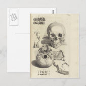 Antike Totenköpfe Postkarte (Vorne/Hinten)