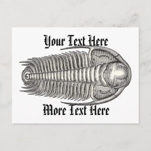 Antike Trilobiten-Postkarte Postkarte