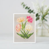 Antike Tulpen-Postkarte Postkarte (Stehend Vorderseite)