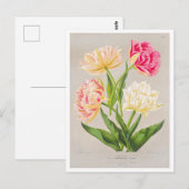 Antike Tulpen-Postkarte Postkarte (Vorne/Hinten)