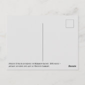 Antike Türensammlung, Grüße aus Dublin Postkarte (Rückseite)