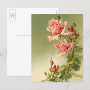 Antike Valentinstag-Rosa viktorianische Gartenrose Feiertagspostkarte