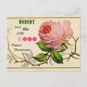 Antike verschossene rosa Rosenpostkarte Postkarte