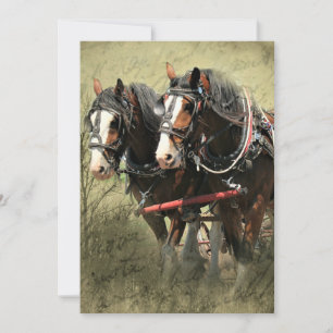 Antike verwitterte Clydesdale-Postkarte Feiertagskarte