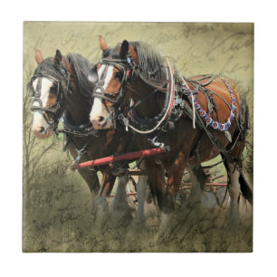 Antike verwitterte Clydesdale-Postkarte Fliese