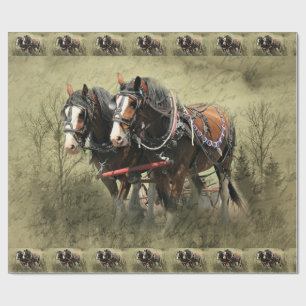 Antike verwitterte Clydesdale-Postkarte Geschenkpapier