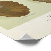 Antike Viktorianische Ära 1884 Silberware Kunst Poster (Ecke)