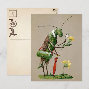 Antike viktorianische Heuschrecken-Postkarte Postkarte