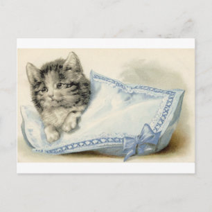 Antike viktorianische Katze Kätzchen Postkarte