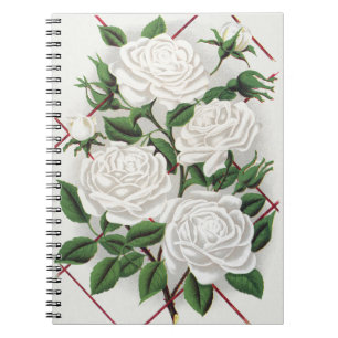 Antike viktorianische weiße Kletterrosen Garten Notizblock