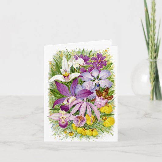 Antike/Vintage Orchideen BlumenNotecard Karte (Vorderseite)