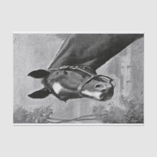 Antike Vintage Pferdeschwarzweiss-illustration Seidenpapier