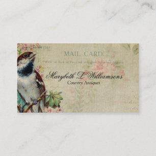 Antike Vintage-Vogel-Postkarte Visitenkarte