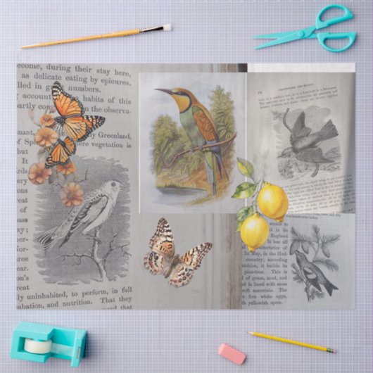 Antike Vögel und Schmetterlinge Seidenpapier (Basteln)