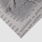 Antike Vögel und Schmetterlinge Seidenpapier (Ausschnitt)