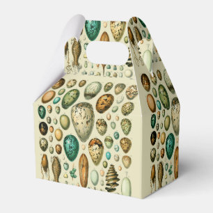 Antike Vogeleier Französische Fisch-Ei-Kunst Geschenkschachtel