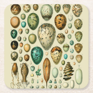 Antike Vogeleier Französische Fischeier-Kunst Rechteckiger Pappuntersetzer