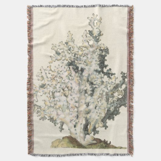 Antike Wasserfarbenkoralle Decke (Vorderseite Vertikal)