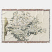 Antike Wasserfarbenkoralle Decke (Vorderseite)