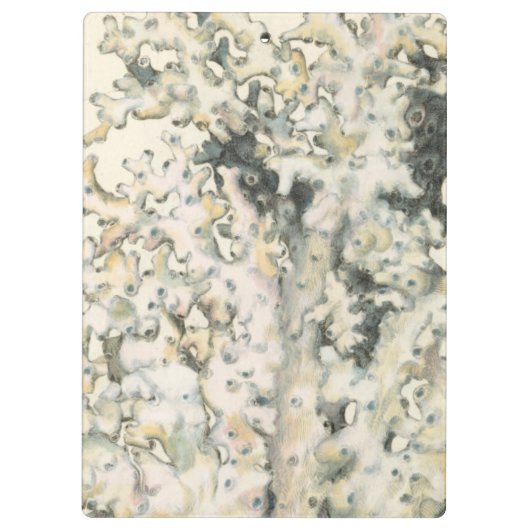 Antike Wasserfarbenkoralle Klemmbrett (Rückseite)