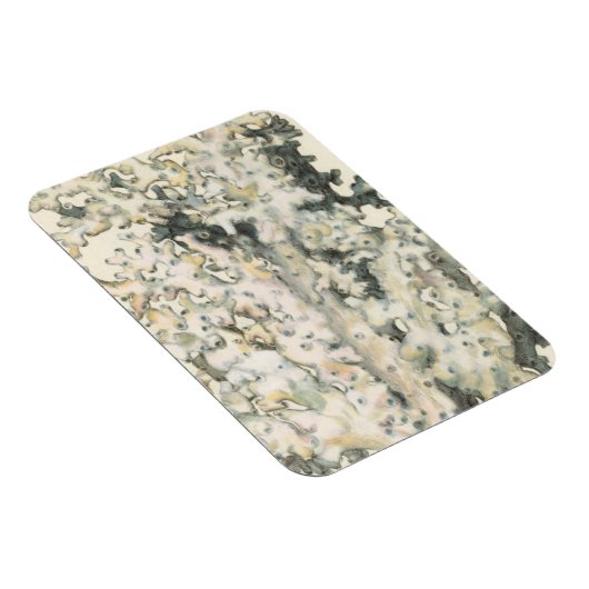 Antike Wasserfarbenkoralle Magnet (Rechte Seite)