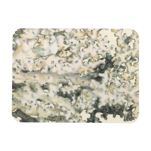 Antike Wasserfarbenkoralle Magnet (Horizontal)