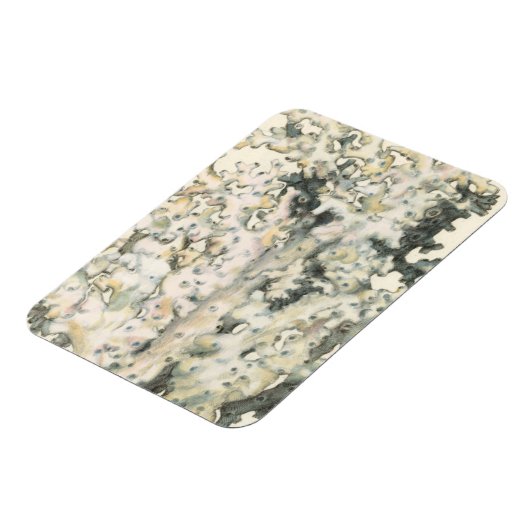 Antike Wasserfarbenkoralle Magnet (Linke Seite)