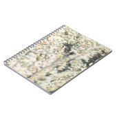 Antike Wasserfarbenkoralle Notizblock (Linke Seite)