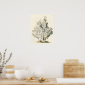 Antike Wasserfarbenkoralle Poster (Küche)