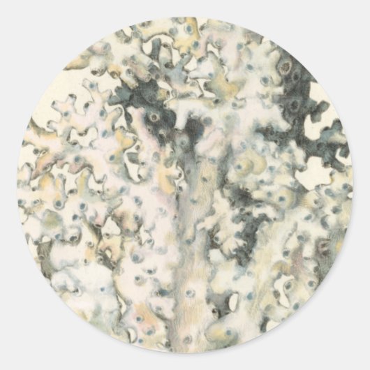 Antike Wasserfarbenkoralle Runder Aufkleber (Vorderseite)