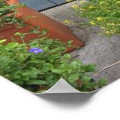 Antike Wasserpumpe Holland House Foto Poster Art (Ecke)