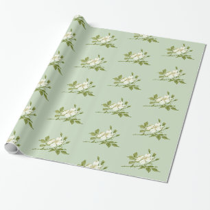 Antike Weiße Magnolie Geschenkpapier