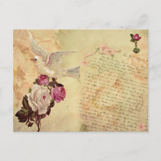 Antike Weiße Taube Shabby Chic Postkarte