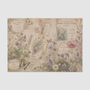 Antike Wiesenblumen-Wildblumen-Samenkataloge  Seidenpapier