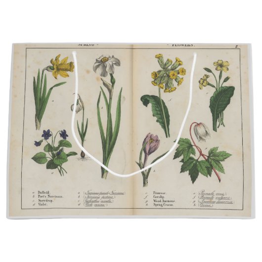 Antike Wildblume Rosa und grüne Geschenktüte (Vorderseite)