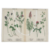 Antike Wildblume Rosa und grüne Geschenktüte (Rückseite)