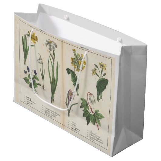 Antike Wildblume Rosa und grüne Geschenktüte (Vorderseite Schrägansicht)