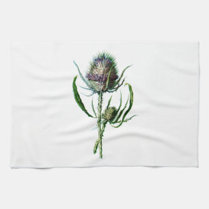 Antike Wildblume Vintage 1902 Schottische Distel Geschirrtuch
