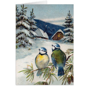 Antike Winterpostkarte mit Vögeln